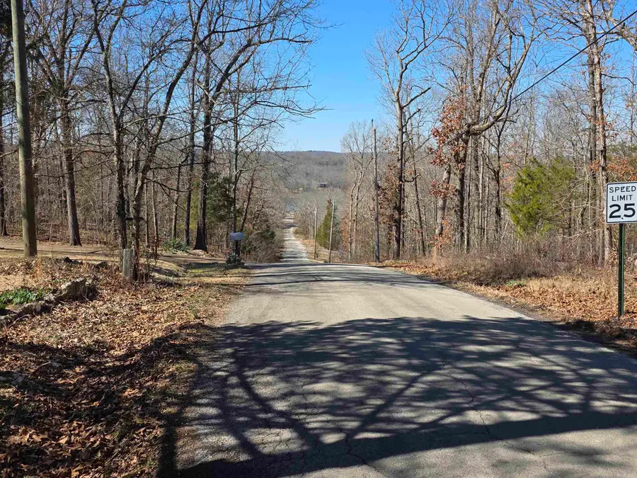 42 Pontiac Road, Cherokee Village, AR 72529 - #2