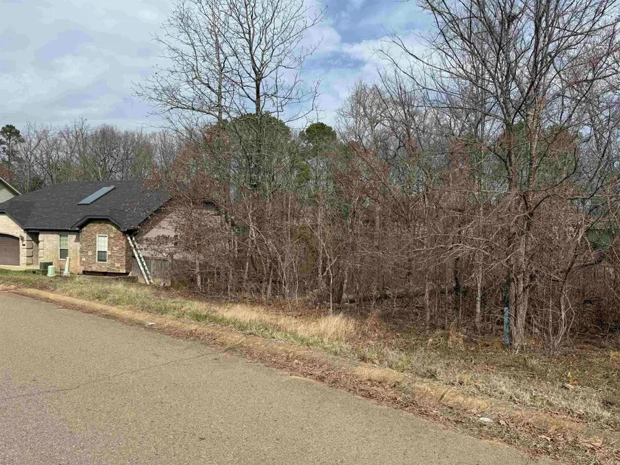 5010 Boulder Point Dr, Shannon Hills, AR 72103 - #2