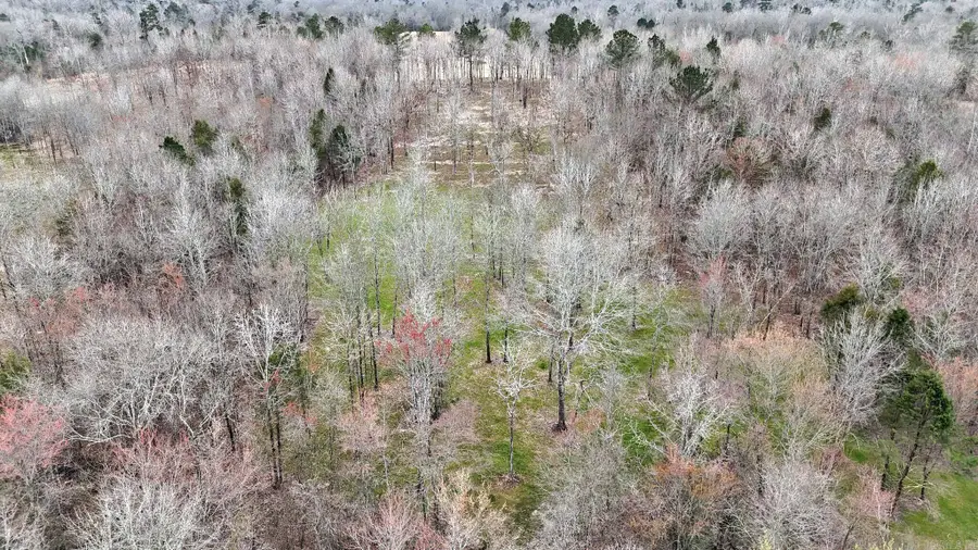 TBD, Tract 3 Polk Road 158, Mena, AR 71953 - #3