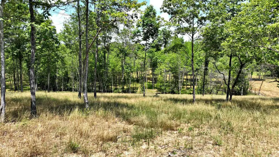 TBD, Tract 4 Polk Road 158, Cedar, AR 71945 - #2