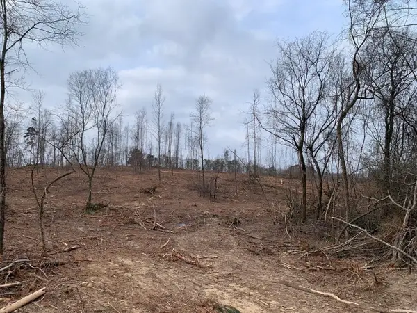 Tract 4 11395 Hwy 84, Bismarck, AR 71929