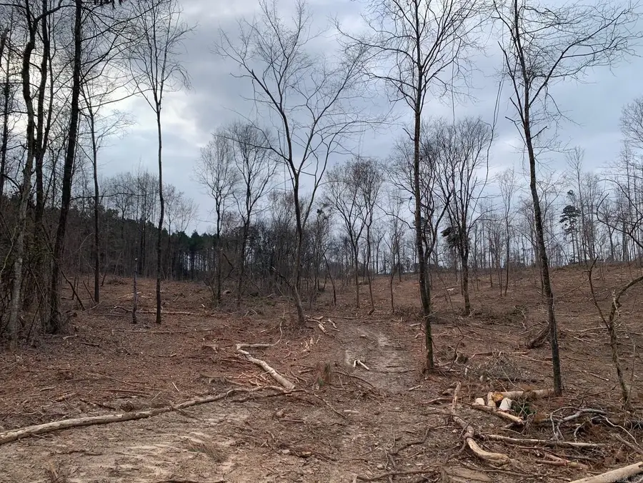 Tract 4 11395 Hwy 84, Bismarck, AR 71929 - #2