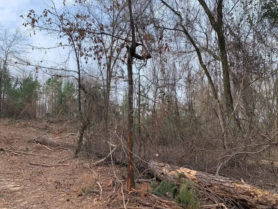 Tract 4 11395 Hwy 84, Bismarck, AR 71929 - #3