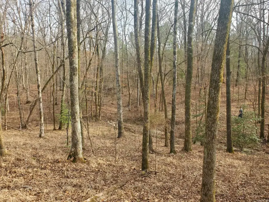 TBD Kates Creek Road, Oden, AR 71961 - #2