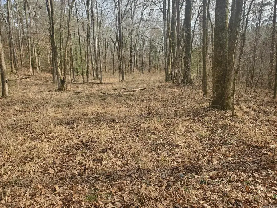 TBD Kates Creek Road, Oden, AR 71961 - #3
