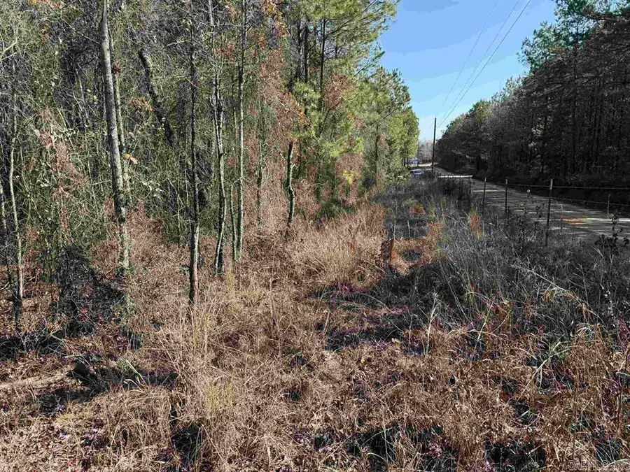 TBD Polk Road 13, Wickes, AR 71973 - #2