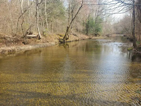 TBD Kates Creek Road, Oden, AR 71961