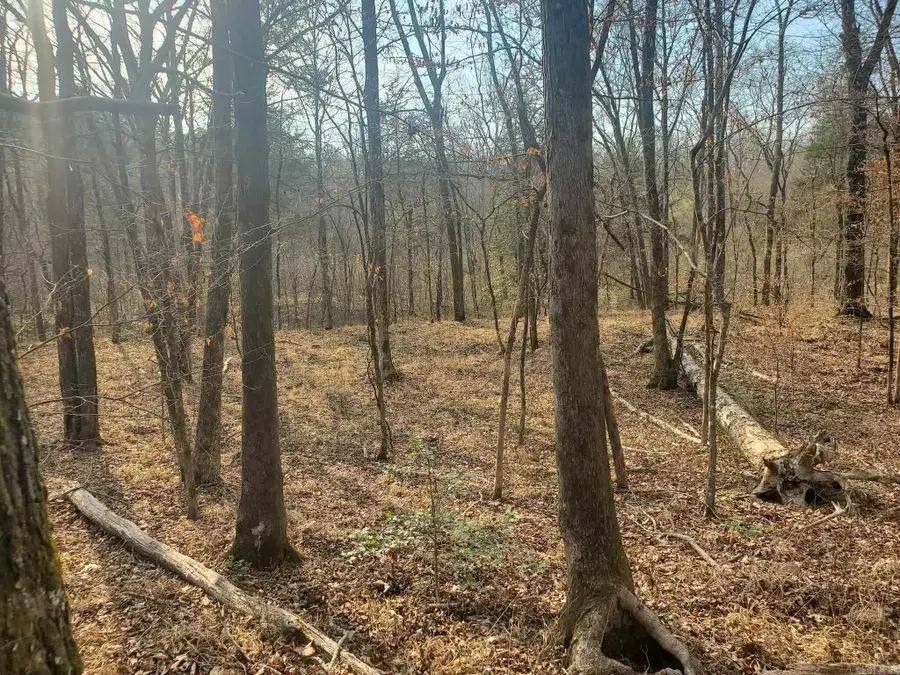 TBD Kates Creek Road, Oden, AR 71961 - #2