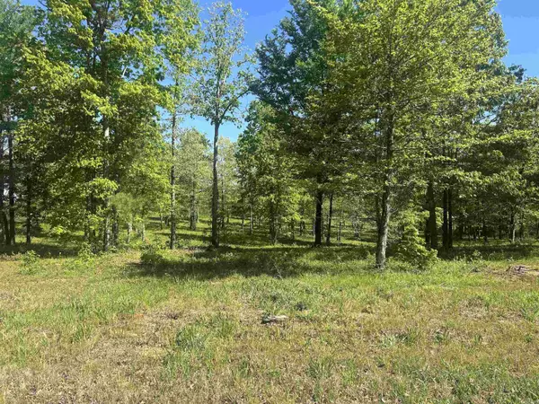 Lot 1 Grant County Road 762, Sheridan, AR 72150