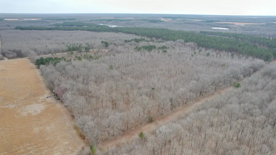 000 Williams Road, Bald Knob, AR 72010 - #3