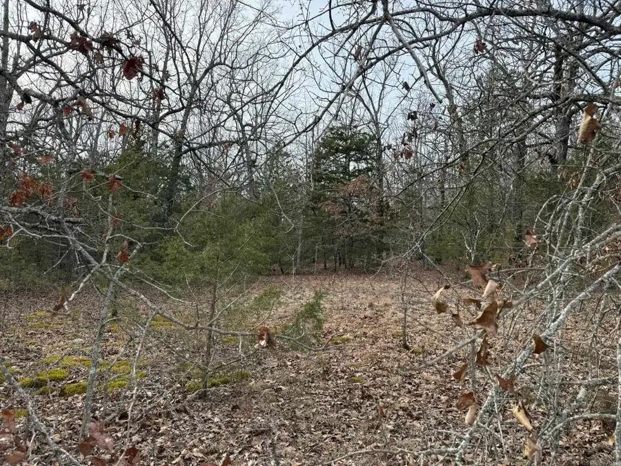 2495 E 74 Highway, Marshall, AR 72650 - #2