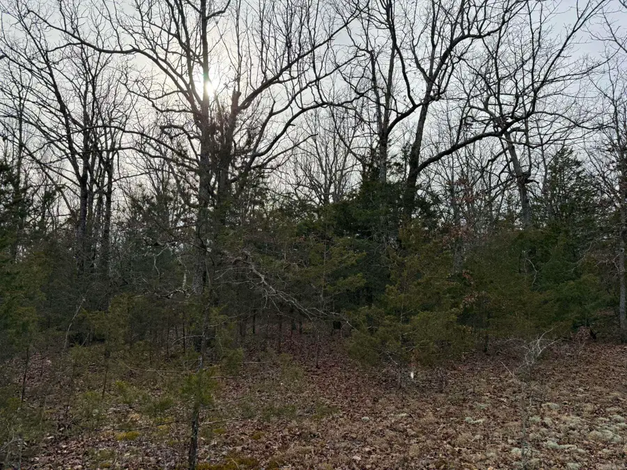 2495 E 74 Highway, Marshall, AR 72650 - #3