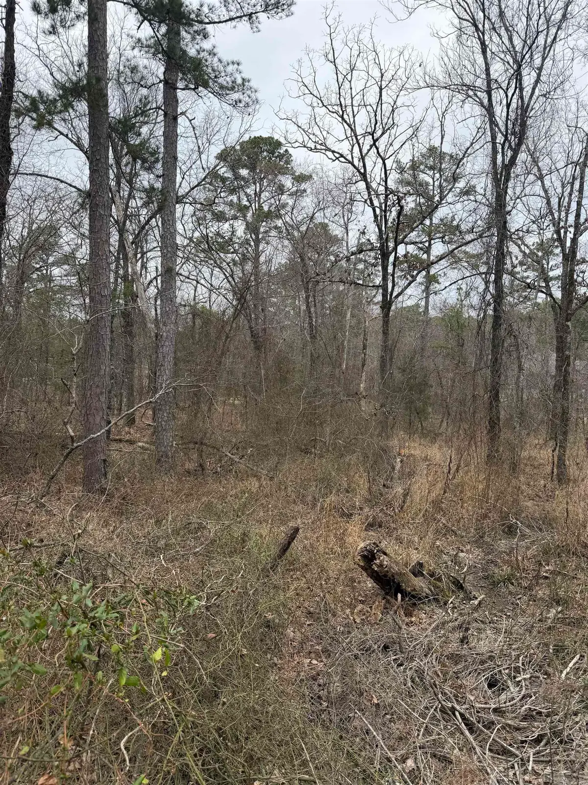 TBD San Juan Way, Hot Springs Village, AR 71909 - #1