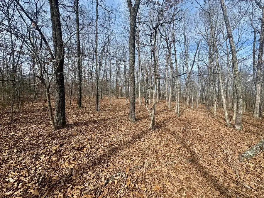 0 Barnes Road, Evening Shade, AR 72532 - #2