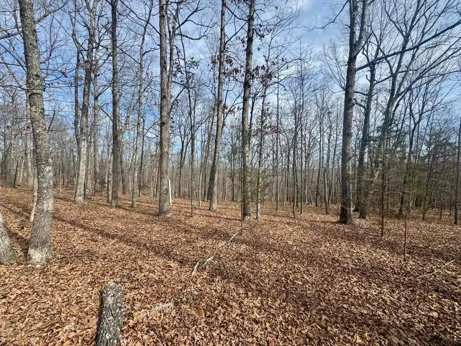 0 Barnes Road, Evening Shade, AR 72532 - #3