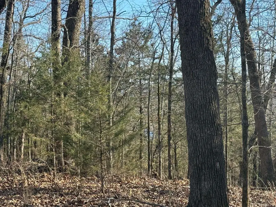 Lots 15, 16 Panther Cove Drive, Mountain Home, AR 72653 - #3