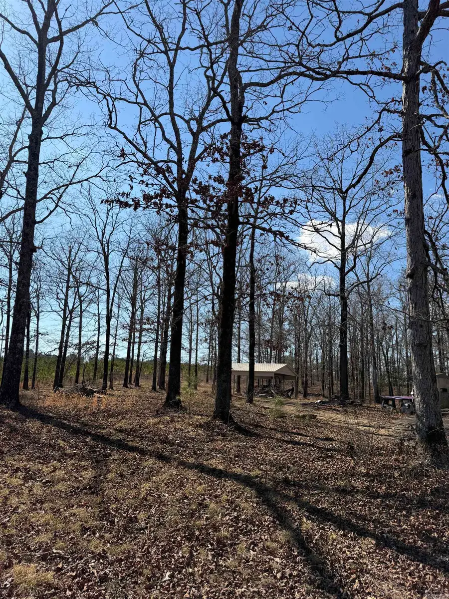 22533 Sulphur Springs Road, Benton, AR 72019 - #2
