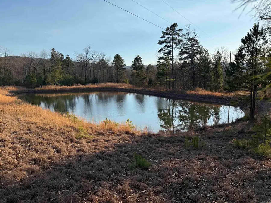 00 Daniel Hill Road, Leslie, AR 72645 - #3