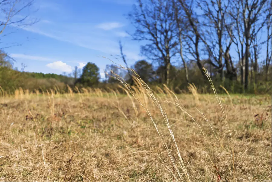 00 Hwy 287, Holland, AR 72173 - #3