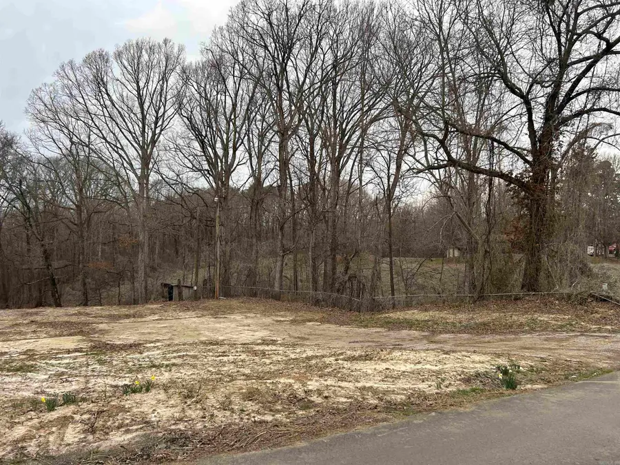 123 County Road 381, Wynne, AR 72396 - #2