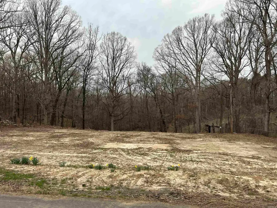 123 County Road 381, Wynne, AR 72396 - #3