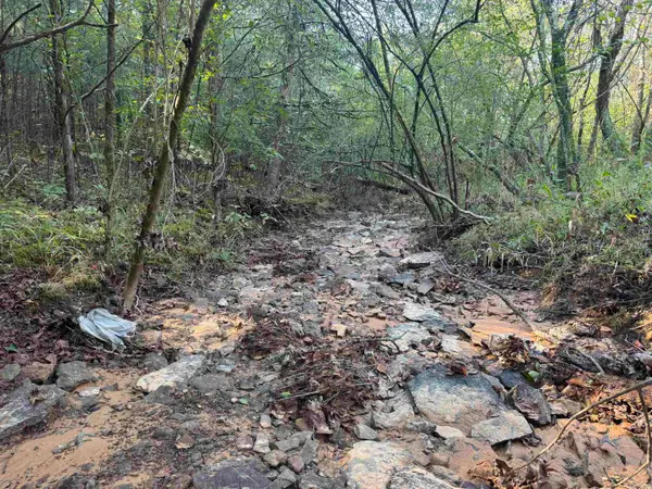 00 Long Branch Lane, Bee Branch, AR 72013