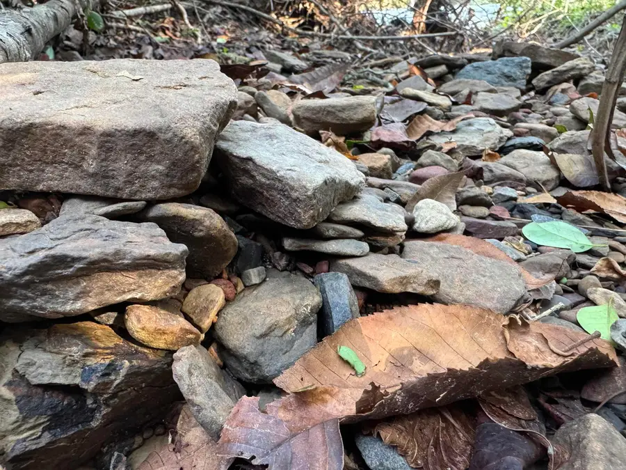 00 Long Branch Lane, Bee Branch, AR 72013 - #3