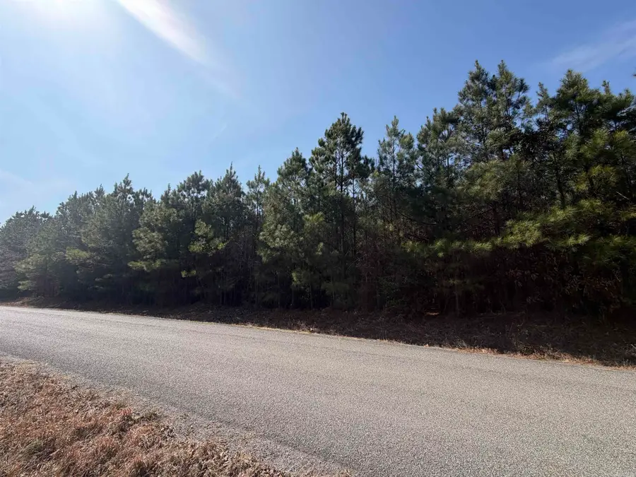 Grant County 9, Sheridan, AR 72150 - #3