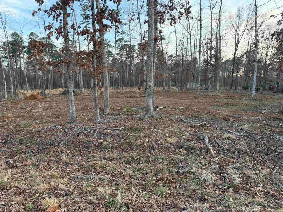 000 Burgos Way, Hot Springs Village, AR 71909 - #3