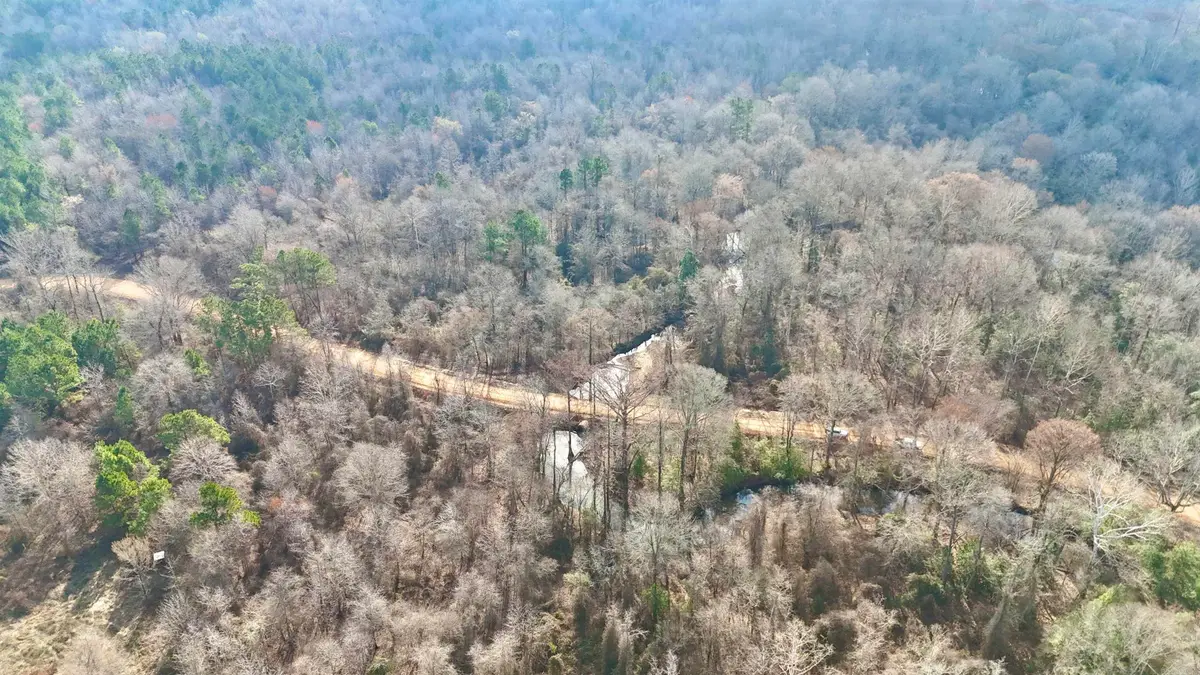 0 Brushy Creek Road, Rison, AR 71665 - #1