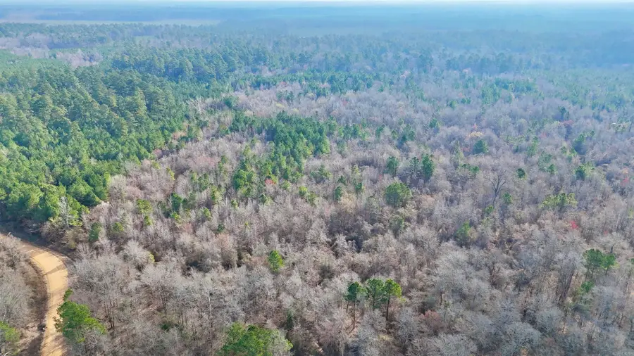 0 Brushy Creek Road, Rison, AR 71665 - #3
