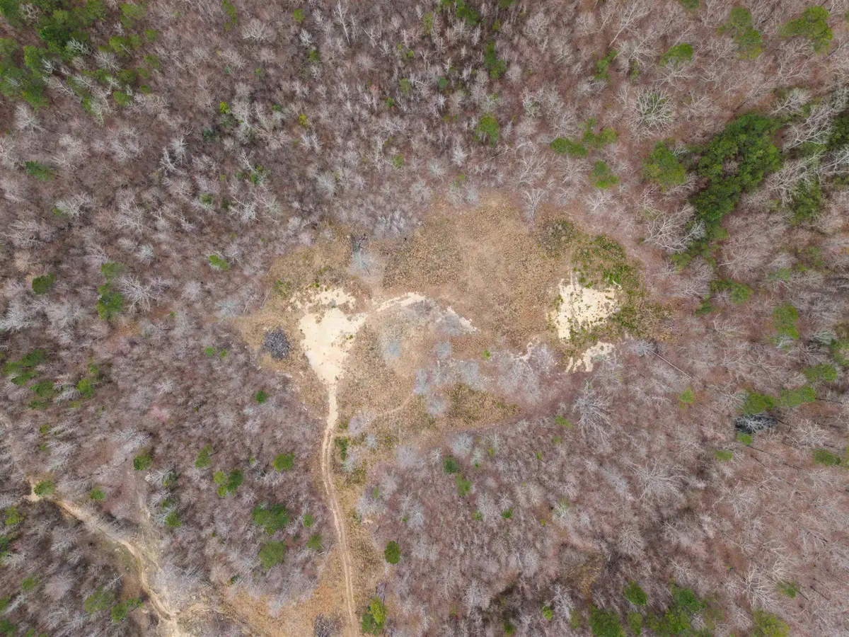 000 Reed Road, Alexander, AR 72002 - #1