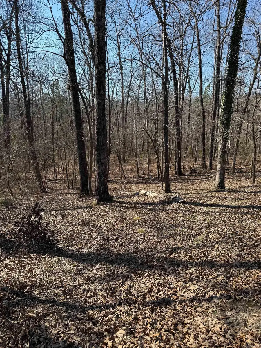 000 Rolleigh Circle, Benton, AR 72015 - #3