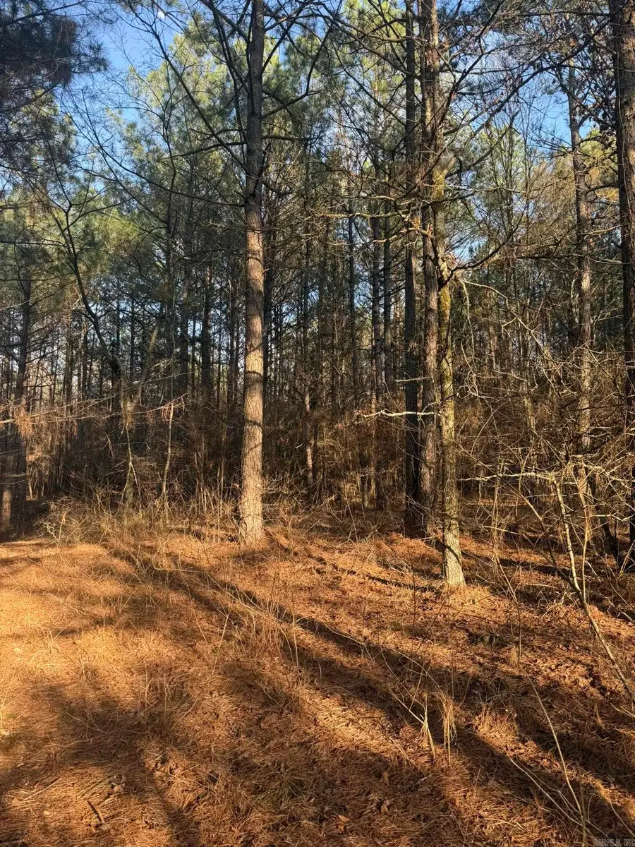 TBD Old Factory Site Road, Murfreesboro, AR 71958 - #2