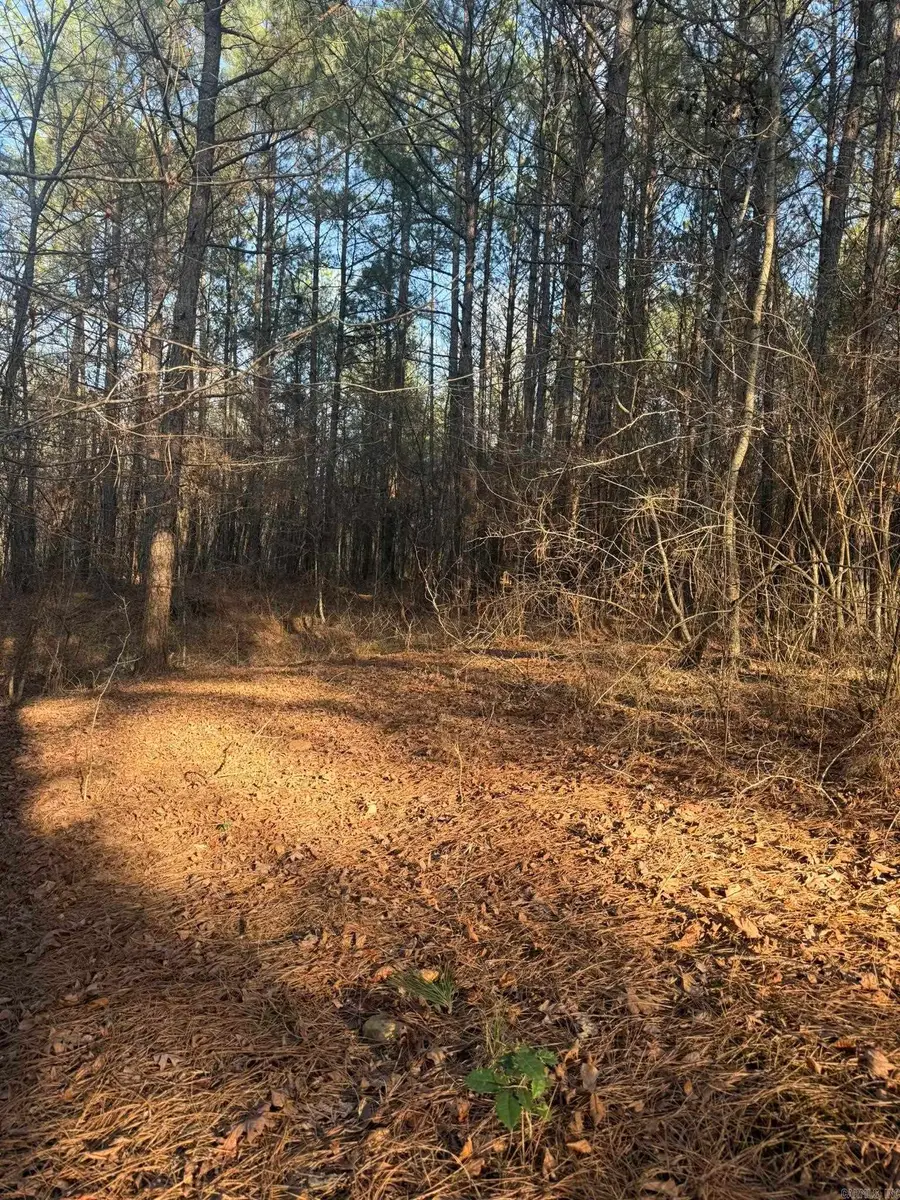 TBD Old Factory Site Road, Murfreesboro, AR 71958 - #3