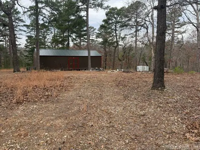 486 Mc 2084, Peel, AR 72668 - #2