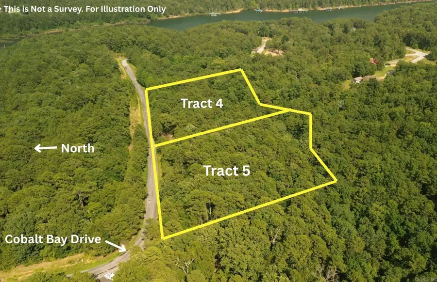 Tract 3 Cobalt Bay Drive, Shirley, AR 72153 - #3