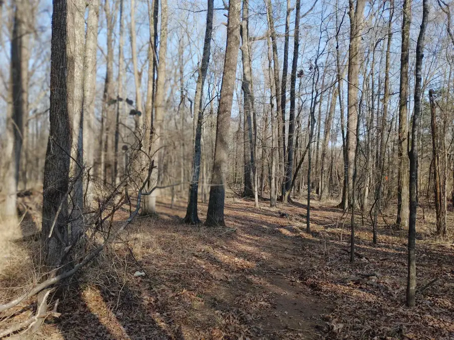 00 Main Street, Jacksonville, AR 72076 - #3