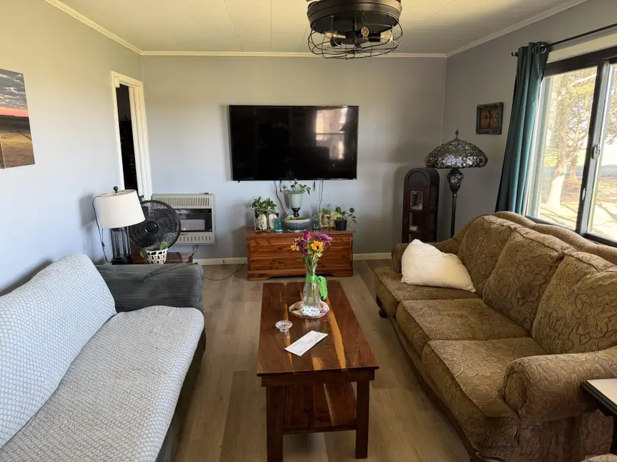 1187 Highway 91, Walnut Ridge, AR 72476 - #3