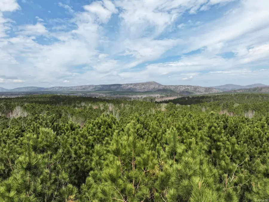 XXX J Dunson Road, Langley, AR 71952 - #3