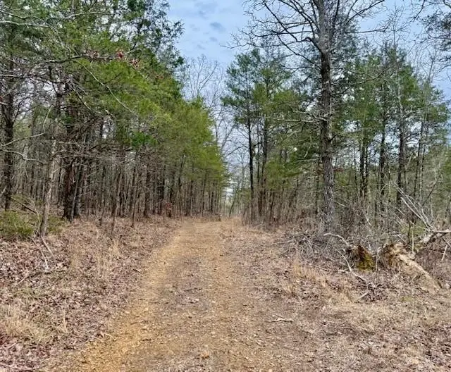 0000 Buck Ridge Lane, Williford, AR 72482 - #2