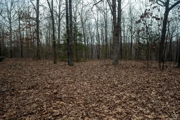 000 Nubbin Ridge Road, Ravenden Springs, AR 72460