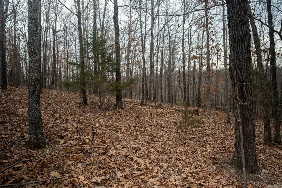 000 Nubbin Ridge Road, Ravenden Springs, AR 72460 - #2