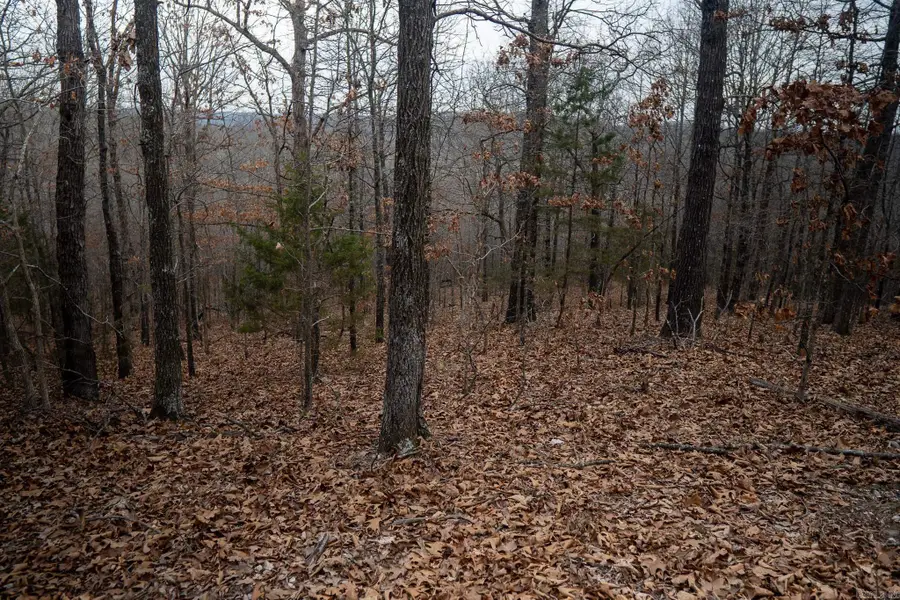 000 Nubbin Ridge Road, Ravenden Springs, AR 72460 - #3