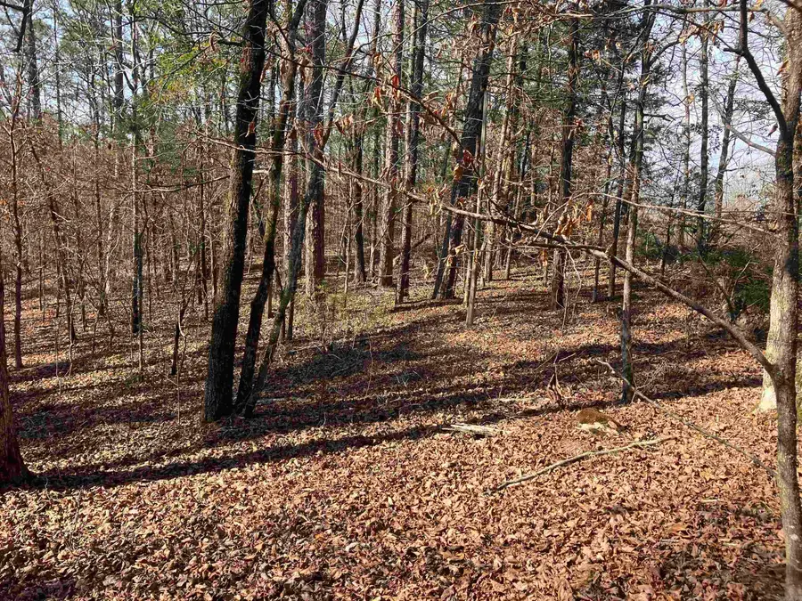 Address Withheld By Seller, Mount Ida, AR 71957 - #2