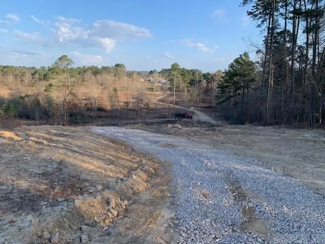 Tract 2 11395 Hwy 84, Bismarck, AR 71929 - #1