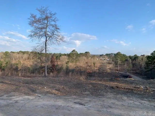 Tract 2 11395 Hwy 84, Bismarck, AR 71929 - #2