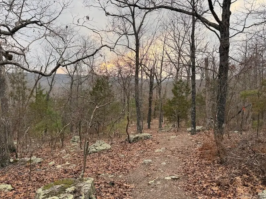 920 Monahan Road, Mountain View, AR 72560 - #2