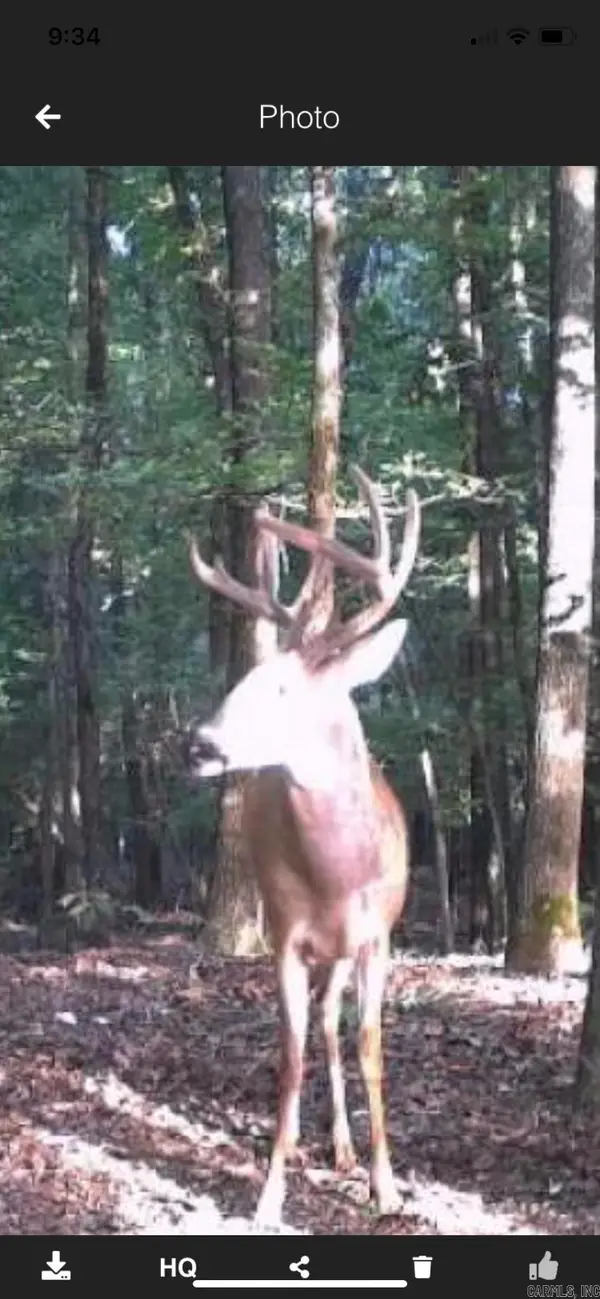 000 Hwy 385 S., Griffithville, AR 72060