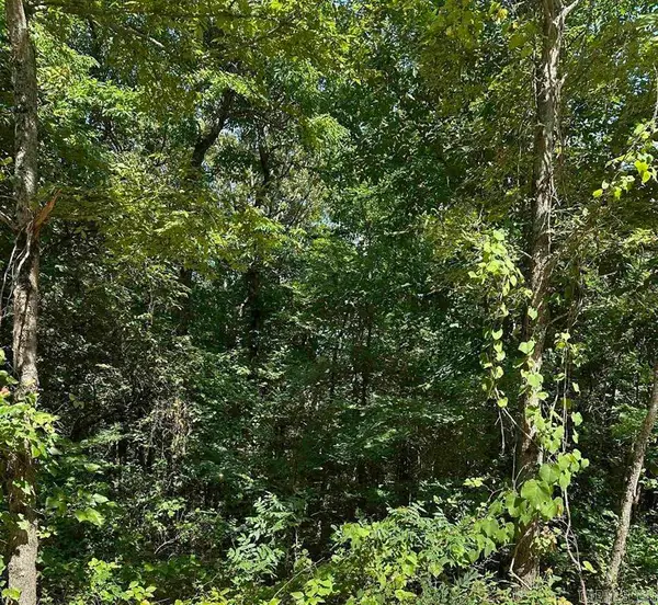 3.5 Acres Heber Springs Road, Locust Grove, AR 72550